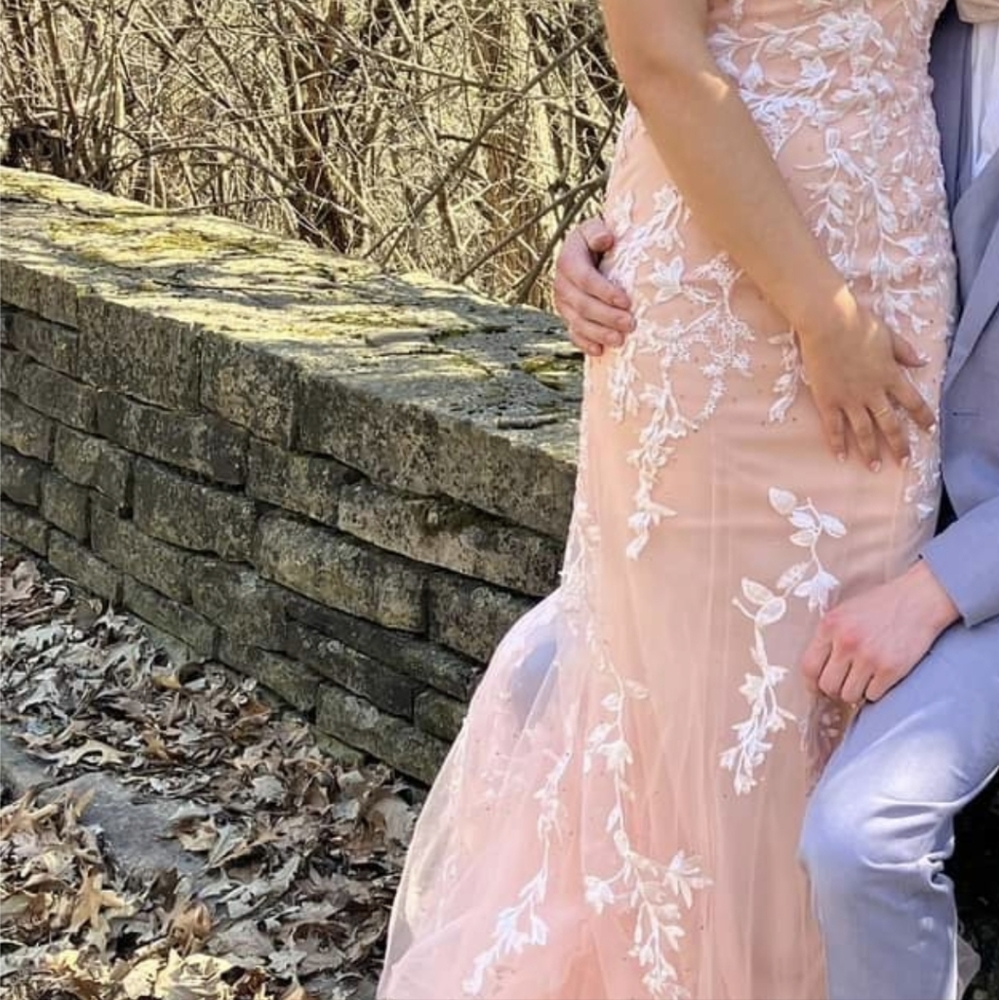 Prom Dress - Picture 5 of 7